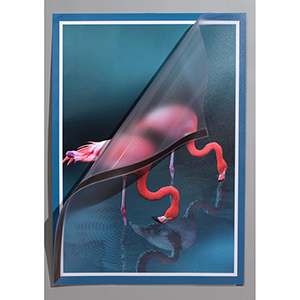 Plakattasche, DIN A1, BxH 594x840 mm, inkl. Magnetstreifen