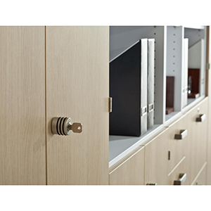 Schrankregal, Regalschrank, BxTxH 800x420x2004 mm, 5 OH, 4 Böden, 2 OH Holztüren, Schloss, buche