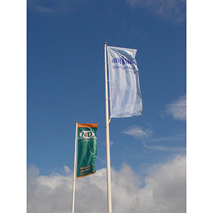 GFK-Fahnenmast m.drehb. Ausleger 1,5 m, m. Kippbeschlag, inkl. drehb. Mastaufsatz u. Gewicht Länge 9 m