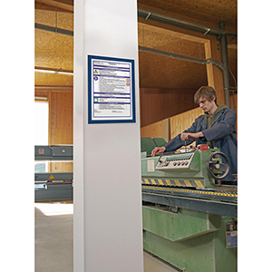 Inforahmen, selbstklebend, DIN A4, BxH 210x297 mm, grün/weiß gestreift, VE 6 Stück