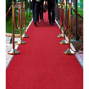 Schmutzfangmatte für den Innenbereich, mit 4-seitigem Vinyl-Randprofil, BxTxH 900x1500x6 mm, dunkelgrau